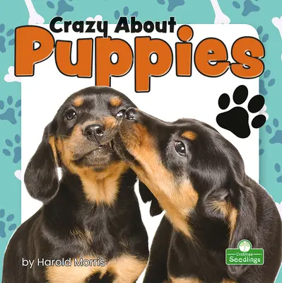 Zwariowany na punkcie szczeniąt - Crazy about Puppies