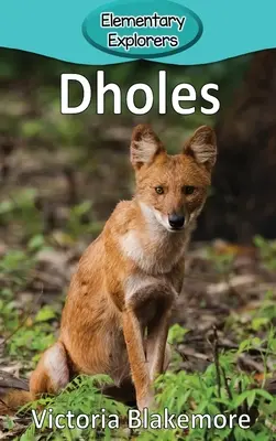 Dziury - Dholes