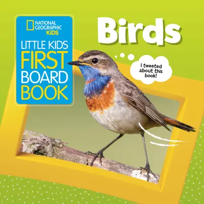 Little Kids First Board Book: Ptaki - Little Kids First Board Book: Birds