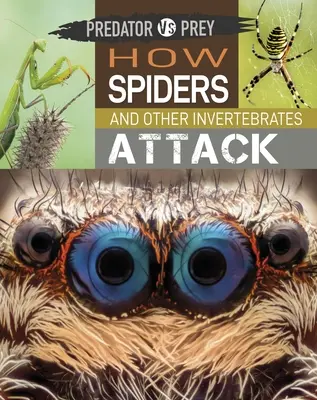 Drapieżnik kontra ofiara: Jak atakują pająki i inne bezkręgowce! - Predator Vs Prey: How Spiders and Other Invertebrates Attack!