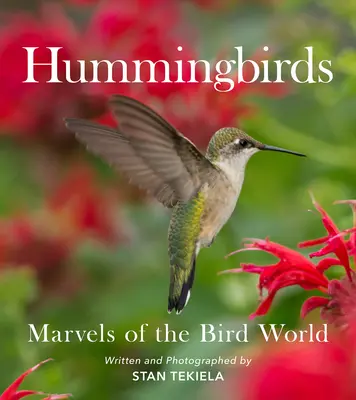 Kolibry: Cuda świata ptaków - Hummingbirds: Marvels of the Bird World