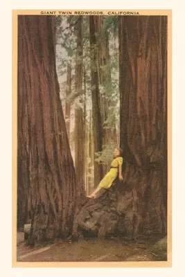 Vintage Journal Dziewczyna w zakątku bliźniaczych sekwoi - The Vintage Journal Girl in Nook of Twin Redwood Trees