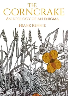 Derkacz: Ekologia zagadki - The Corncrake: An Ecology of an Enigma