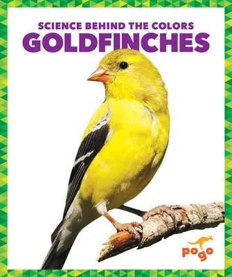 Szczygły - Goldfinches