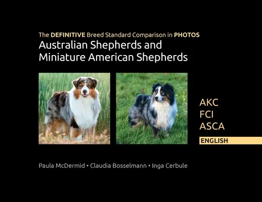 DEFINICYJNE porównanie standardu rasy na zdjęciach dla owczarków australijskich i miniaturowych owczarków amerykańskich: Akc, Fci, Asca. Angielski - The DEFINITIVE Breed Standard Comparison in PHOTOS for Australian Shepherds and Miniature American Shepherds: Akc, Fci, Asca. English