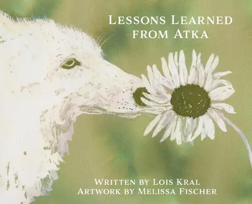 Lekcje wyciągnięte z Atki - Lessons Learned from Atka