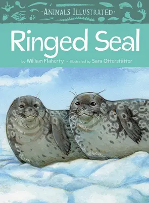 Zwierzęta na ilustracjach: Foka obrączkowana - Animals Illustrated: Ringed Seal