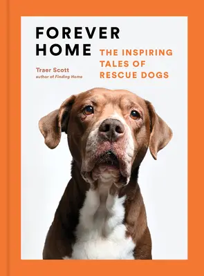 Forever Home: Inspirujące opowieści o psach ratownikach - Forever Home: The Inspiring Tales of Rescue Dogs