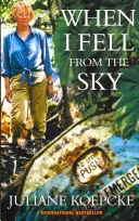 Kiedy spadłam z nieba - prawdziwa historia cudownego ocalenia jednej kobiety - When I Fell From The Sky - The True Story of One Woman's Miraculous Survival