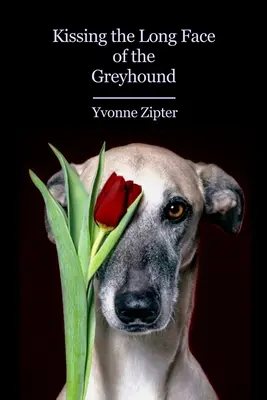 Całując długą twarz Greyhounda - Kissing the Long Face of the Greyhound