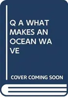 Q A CO SPRAWIA, ŻE OCEAN FALUJE - Q A WHAT MAKES AN OCEAN WAVE