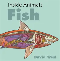 Inside Animals: Ryby - Inside Animals: Fish