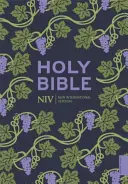 Biblia NIV (Hodder Classics) - NIV Holy Bible (Hodder Classics)