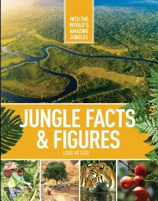 Fakty i liczby dotyczące dżungli - Jungle Facts & Figures