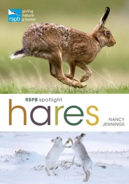 Zające w centrum uwagi RSPB - RSPB Spotlight Hares