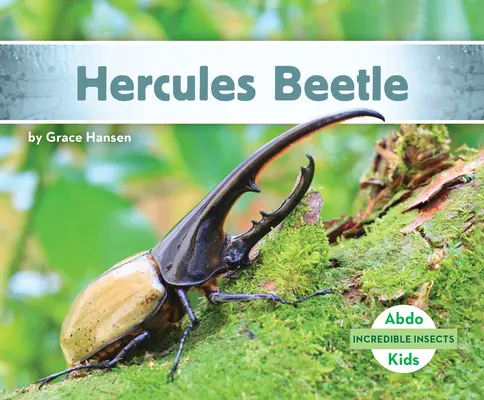 Żuk Herkules - Hercules Beetle