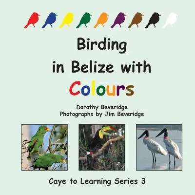 Ptaki w Belize z kolorami - Birding in Belize with Colours