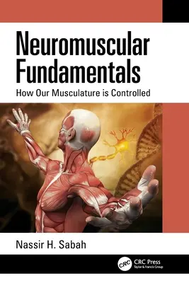 Podstawy nerwowo-mięśniowe: Jak kontrolowana jest nasza muskulatura - Neuromuscular Fundamentals: How Our Musculature is Controlled