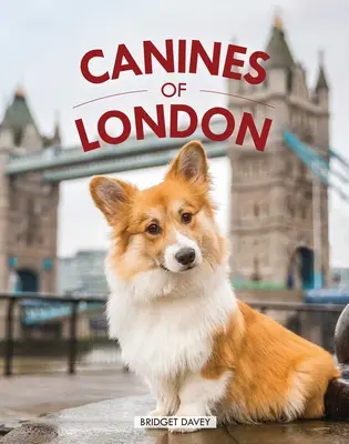 Kły Londynu (fotografia psów, prezent dla miłośników psów) - Canines of London (Dog Photography, Dog Lovers Gift)