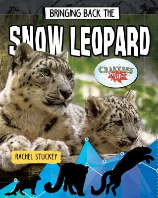 Przywracanie śnieżnej pantery - Bringing Back the Snow Leopard