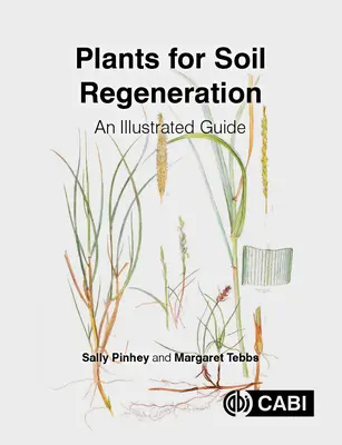 Rośliny do regeneracji gleby: Ilustrowany przewodnik - Plants for Soil Regeneration: An Illustrated Guide