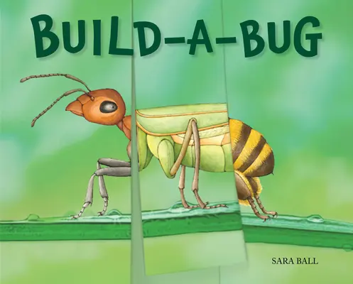 Build-A-Bug