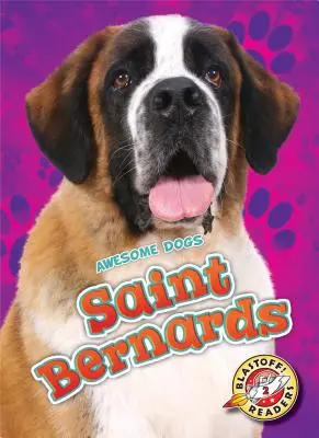 Berneńczyki - Saint Bernards