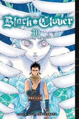 Black Clover, Vol. 30: Tom 30 - Black Clover, Vol. 30: Volume 30
