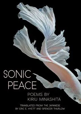 Soniczny pokój - Sonic Peace