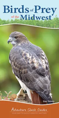 Ptaki drapieżne Środkowego Zachodu: Twój sposób na łatwą identyfikację ptaków drapieżnych - Birds of Prey of the Midwest: Your Way to Easily Identify Raptors