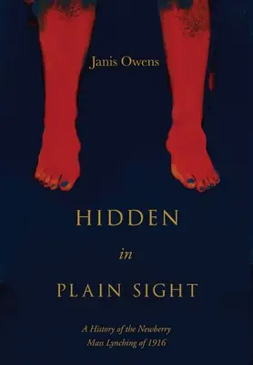 Hidden in Plain Sight: Historia masowego linczu w Newberry w 1916 roku - Hidden in Plain Sight: A History of the Newberry Mass Lynching of 1916