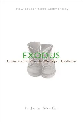 Nbbc, Exodus: komentarz w tradycji Wesleyan - Nbbc, Exodus: A Commentary in the Wesleyan Tradition