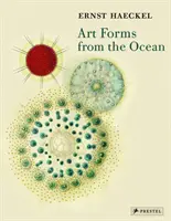 Formy sztuki z oceanu: The Radiolarian Prints of Ernst Haeckel - Art Forms from the Ocean: The Radiolarian Prints of Ernst Haeckel