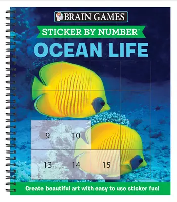 Brain Games - Naklejki według numerów: Życie oceanu (Easy - Square Stickers): Stwórz piękną sztukę dzięki łatwej w użyciu zabawie z naklejkami! - Brain Games - Sticker by Number: Ocean Life (Easy - Square Stickers): Create Beautiful Art with Easy to Use Sticker Fun!