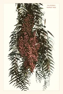 The Vintage Journal Kalifornijskie jagody pieprzowe - The Vintage Journal California Pepper Berries