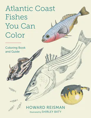 Ryby wybrzeża Atlantyku, które możesz pokolorować! Kolorowanka i przewodnik - Atlantic Coast Fishes You Can Color!: Coloring Book and Guide