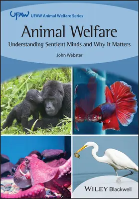 Dobrostan zwierząt: Zrozumieć czujące umysły i dlaczego to ma znaczenie - Animal Welfare: Understanding Sentient Minds and Why It Matters