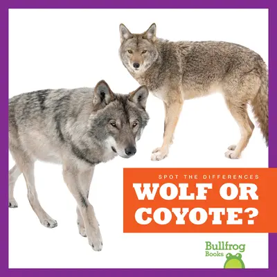 Wilk czy kojot? - Wolf or Coyote?