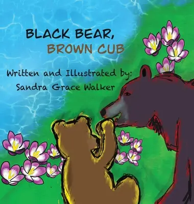 Czarny niedźwiedź, brązowe młode - Black Bear, Brown Cub