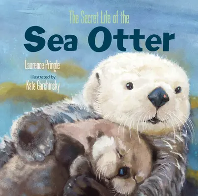 Sekretne życie wydry morskiej - The Secret Life of the Sea Otter