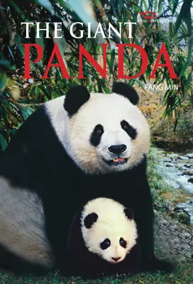 Panda wielka - odkrywanie Chin - Giant Panda - Discovering China