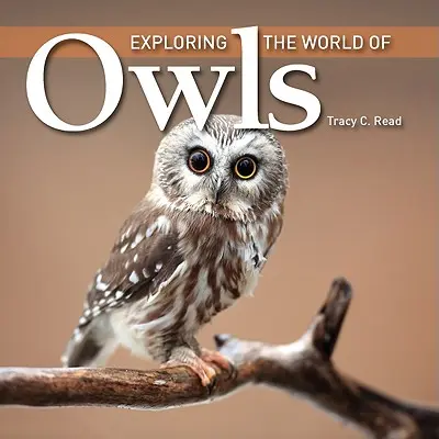 Odkrywanie świata sów - Exploring the World of Owls