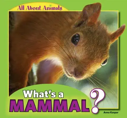 Co to jest ssak? - What's a Mammal?