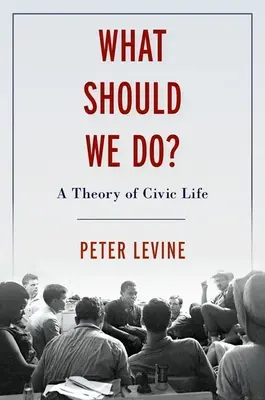 Co powinniśmy zrobić: Teoria polityczna dla obywateli - What Should We Do: Political Theory for Citizens