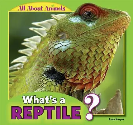 Co to jest gad? - What's a Reptile?