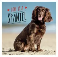 Miłość to spaniel - psie święto najbardziej kochanej rasy na świecie - Love is a Spaniel - A Dog-Tastic Celebration of the World's Most Lovable Breed