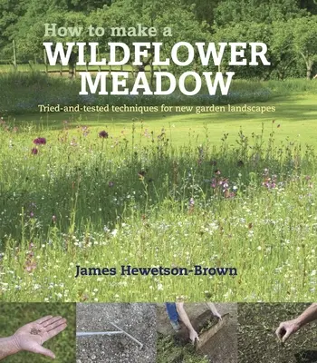 Jak stworzyć łąkę dzikich kwiatów - wypróbowane i przetestowane techniki dla nowych krajobrazów ogrodowych - How to make a wildflower meadow - Tried-And-Tested Techniques for New Garden Landscapes