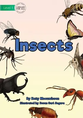 Owady - Insects