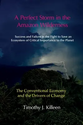 Idealna burza w Amazonii. Tom 1: Konwencjonalna gospodarka i czynniki napędzające zmiany - A Perfect Storm in the Amazon. Volume 1: The Conventional Economy and the Drivers of Change