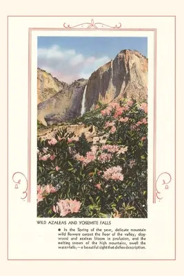 Dziennik Vintage Dzikie azalie w Yosemite - The Vintage Journal Wild Azaleas at Yosemite